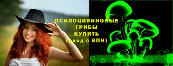 стаф Кинешма