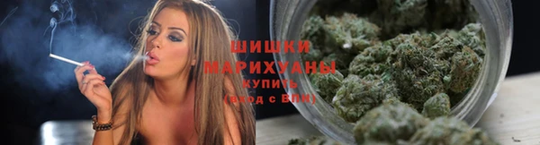 сатива Белоозёрский