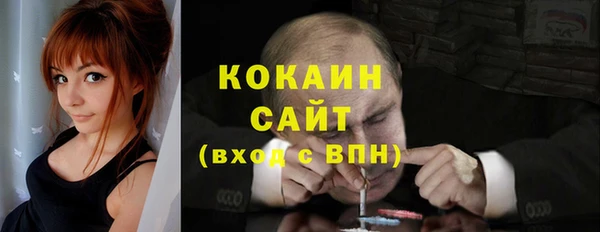 индика Киренск
