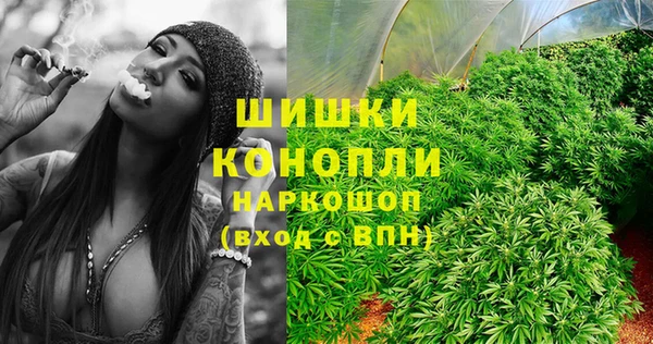 стаф Кинешма