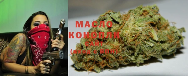 индика Киренск