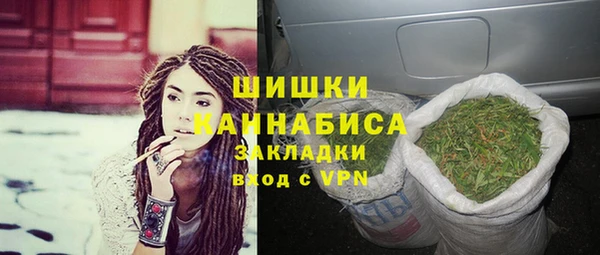 сатива Белоозёрский