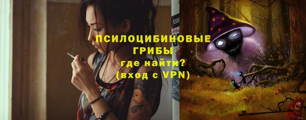 СК Белокуриха