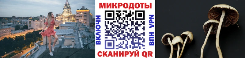 Галлюциногенные грибы мухоморы  hydra   Каспийск 